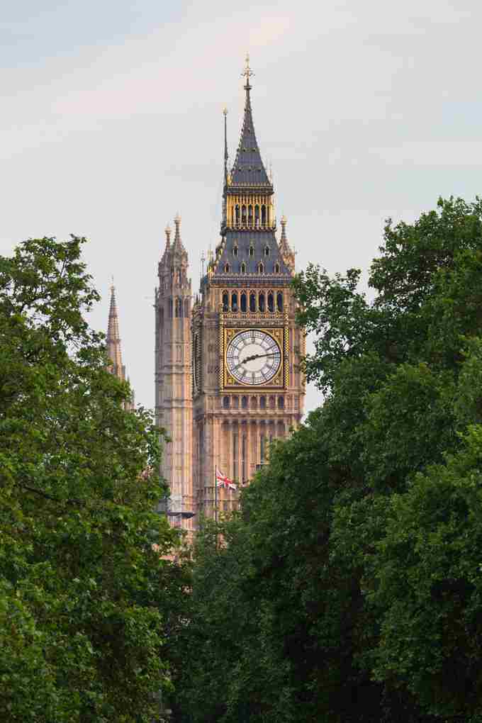 Big Ben Trees