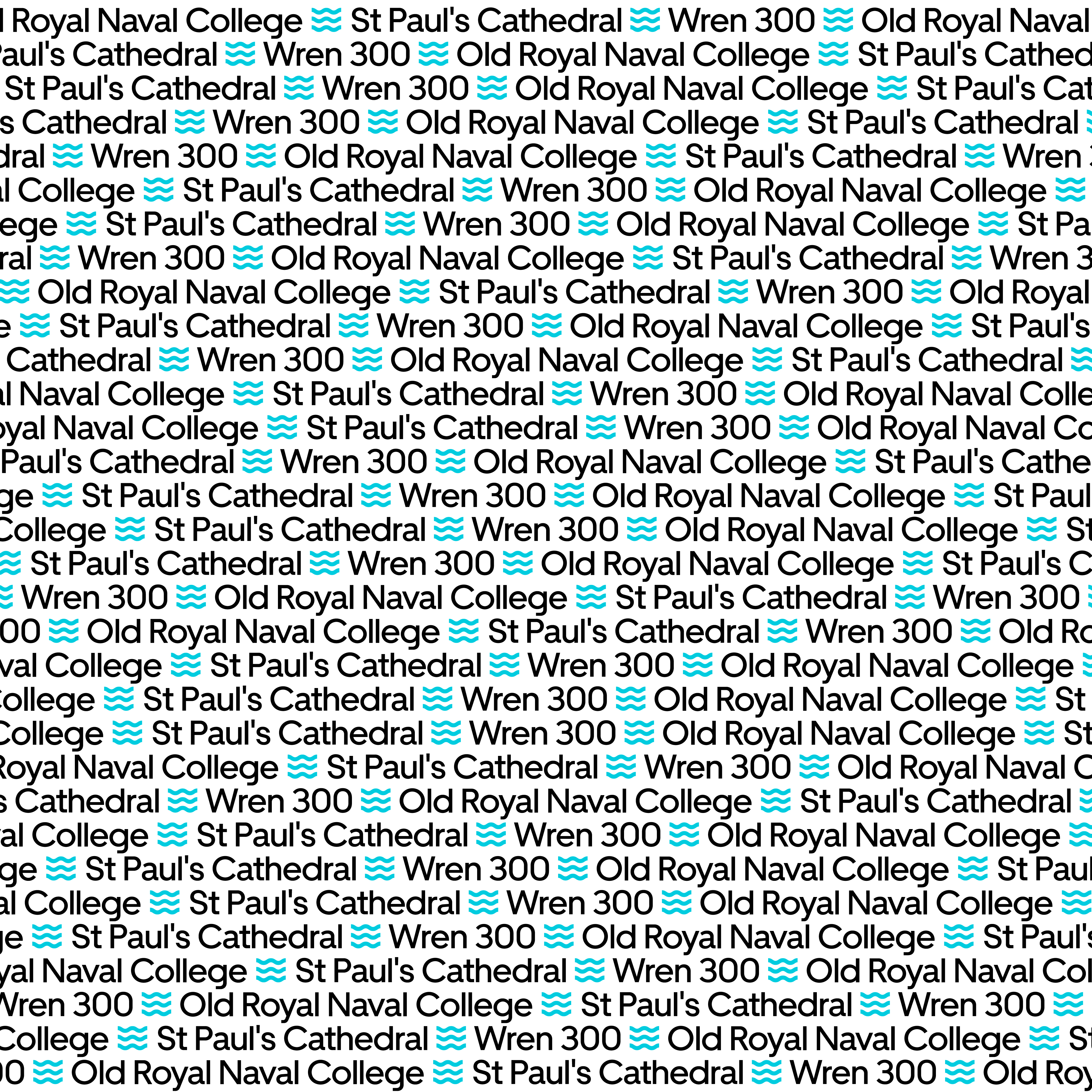 Wren300 Text Pattern