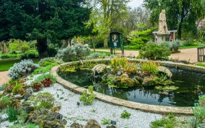 Chelsea Physic Garden