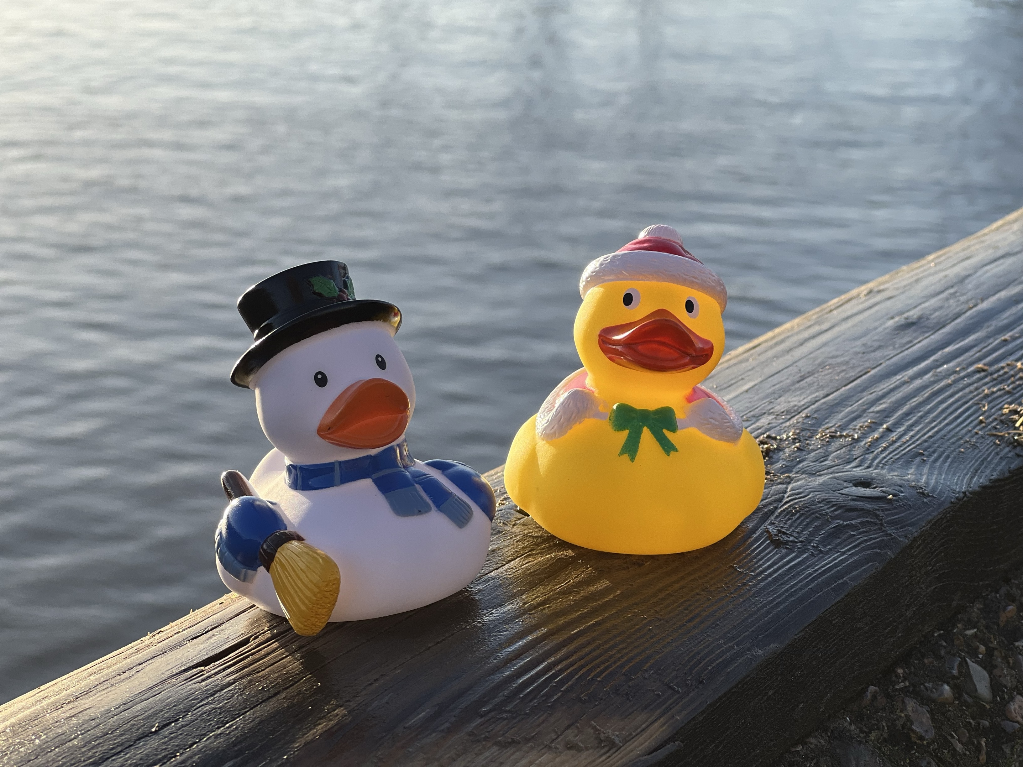 Snow And Santa Ducks