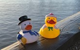 Snow And Santa Ducks