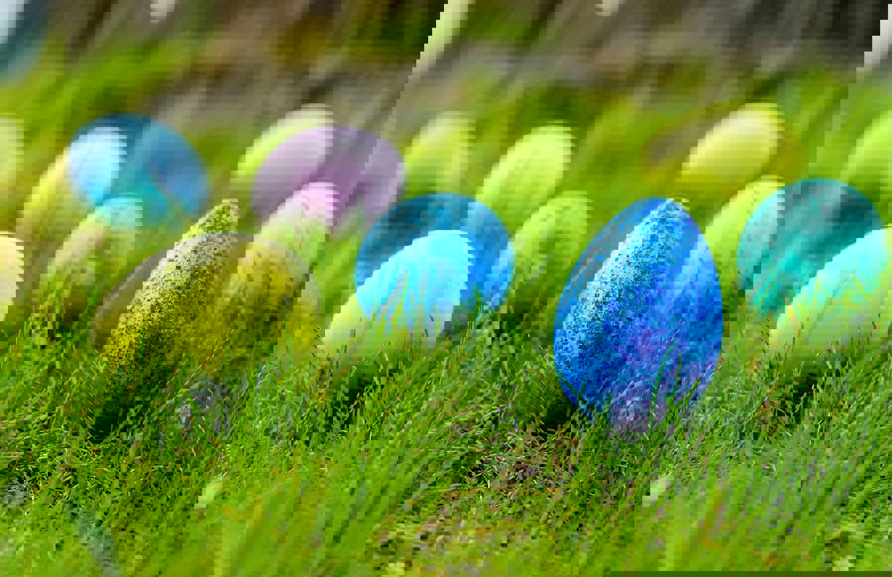 Miro Vrlik Jdmvviyhbve Unsplash