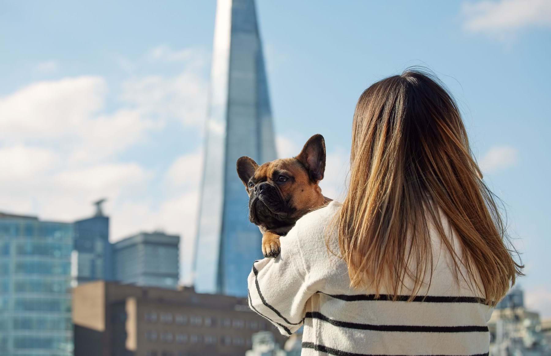 Customer with dog with The Shard in the background