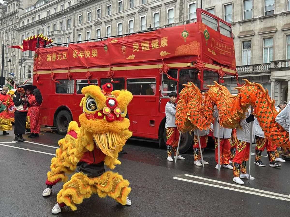 lunar new year festival