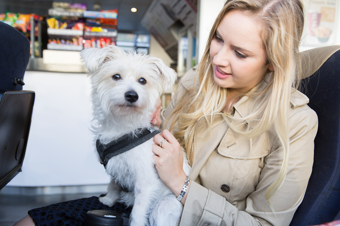 Lady with dog