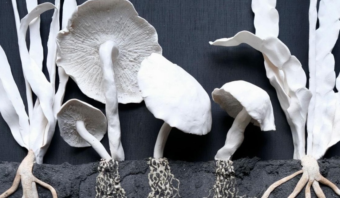 SOIL Unearthed Draft Header