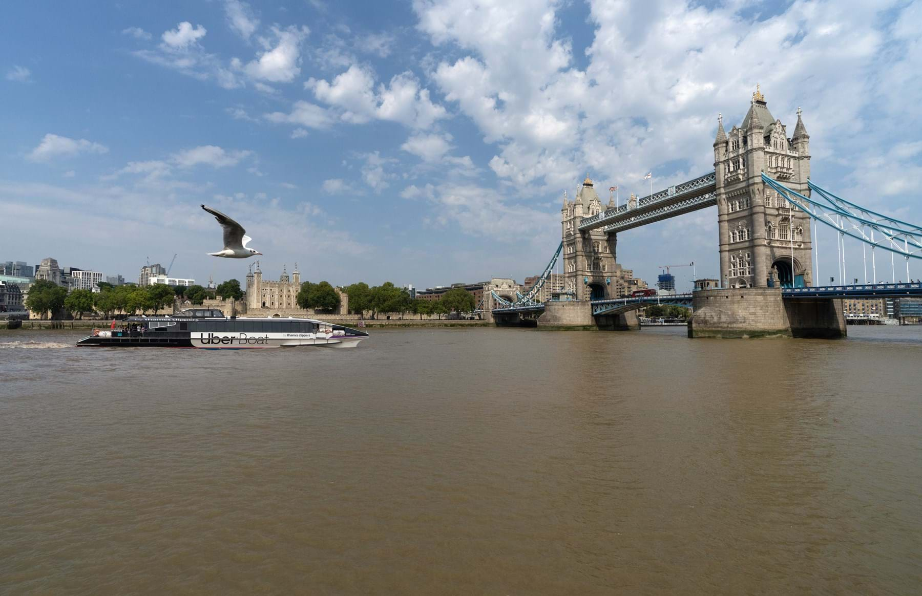 Typhoon Clipper and Tower Bridge