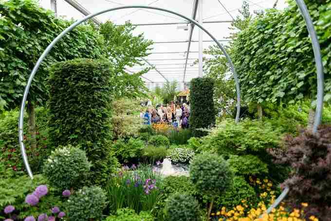 Chelsea Flower Show